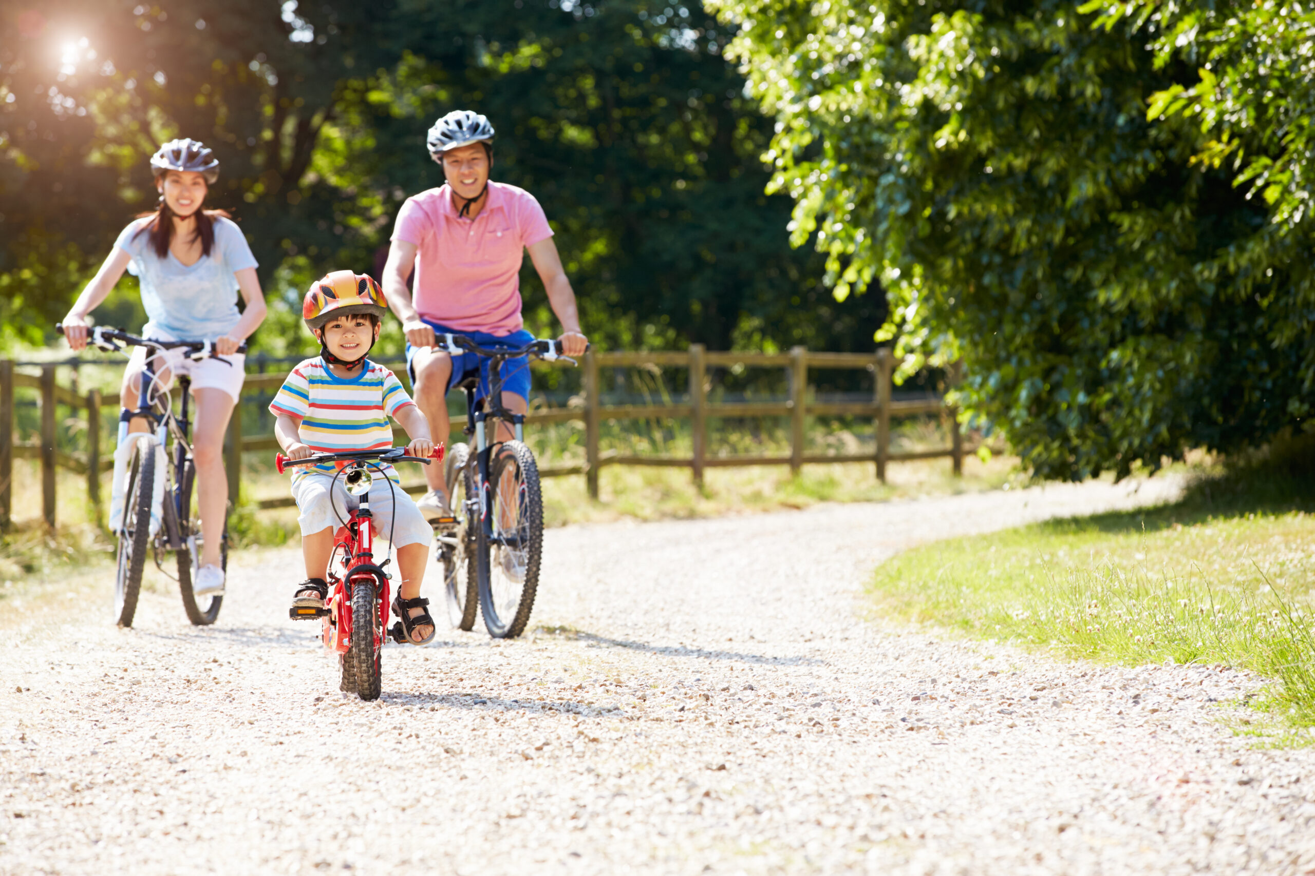 a family taking a bicycle ride